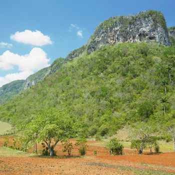 Vinales Valley, Pinar del Rio Province, Cuba