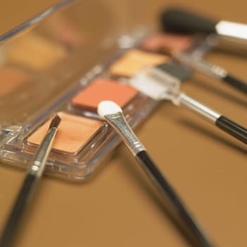 eye shadows with brushes