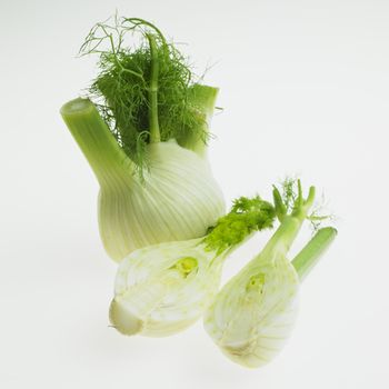 fennel
