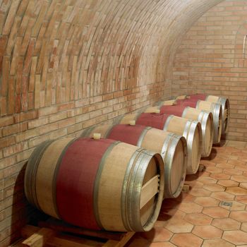 wine cellar, Sidleny, Livi Dubnany, Czech Republic