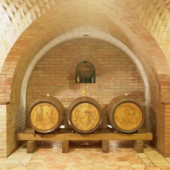 wine cellar, Sidleny, Livi Dubnany, Czech Republic