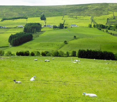 Sperrin Mountains, County Tyrone, Northern Ireland