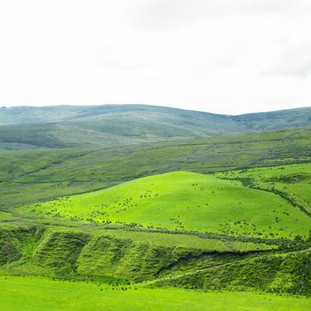 Sperrin Mountains, County Tyrone, Northern Ireland