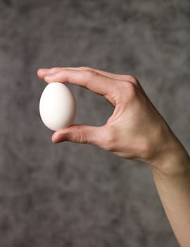Hand holding an egg