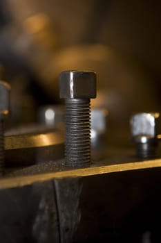 Close-up of a screw