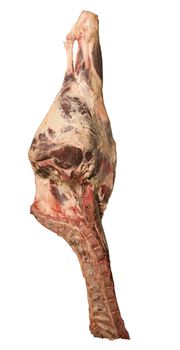 Meat towards white background