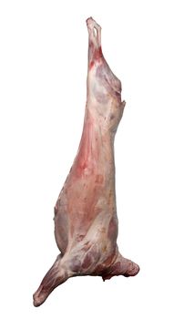 Meat towards white background