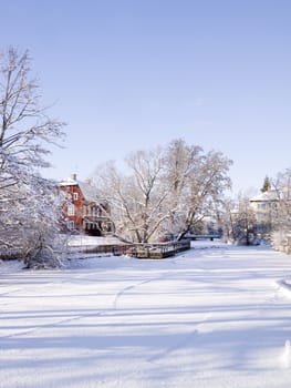 Winter field
