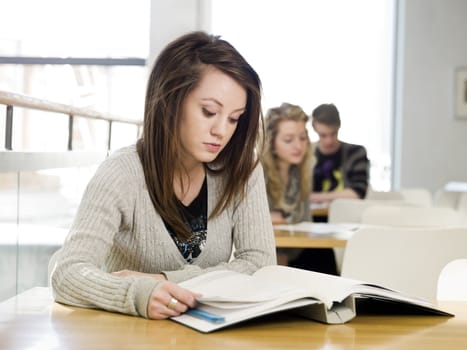 Girl reading