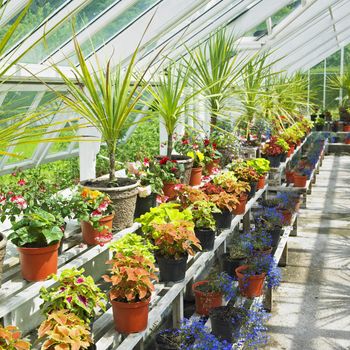 greenhouse, Birr Castle Gardens, County Offaly, Ireland