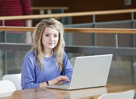 Girl with a computer