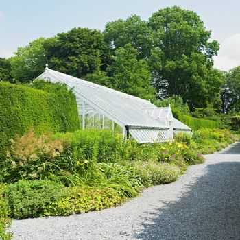 greenhouse, Birr Castle Gardens, County Offaly, Ireland