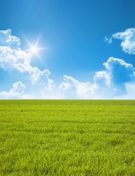 A photography of a blue sky and a green field