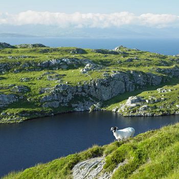 Sheep''s Head Peninsula, County Cork, Ireland