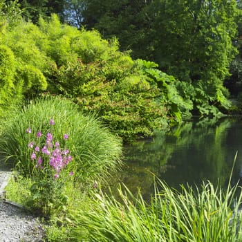 Kilmokea Gardens, County Wexford, Ireland