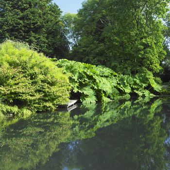 Kilmokea Gardens, County Wexford, Ireland