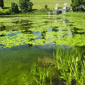 Powerscourt Gardens, County Wicklow, Ireland