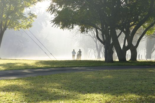 Two runners in the park on a misty morning