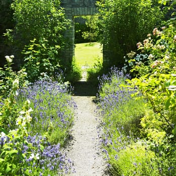 Ballinlough Castle Gardens, County Westmeath, Ireland