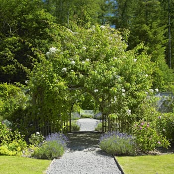 Ballinlough Castle Gardens, County Westmeath, Ireland