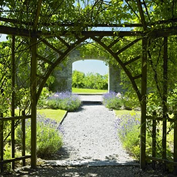 Ballinlough Castle Gardens, County Westmeath, Ireland