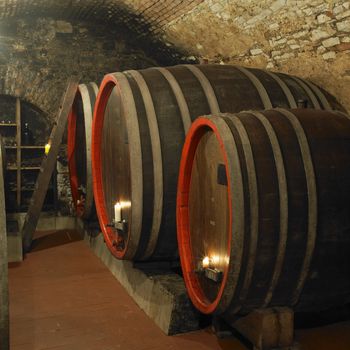 wine cellar, Litomerice, Czech Republic