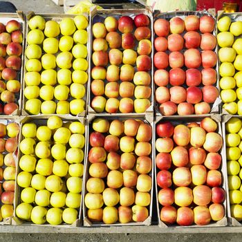 apples, Serbia