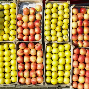 apples, Serbia