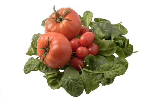 Spinach and tomatoes assortment isolated against white