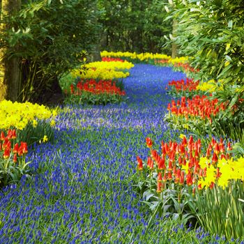 Keukenhof Gardens, Lisse, Netherlands