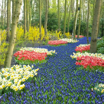 Keukenhof Gardens, Lisse, Netherlands