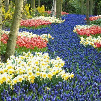 Keukenhof Gardens, Lisse, Netherlands