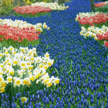 Keukenhof Gardens, Lisse, Netherlands