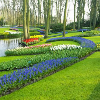 Keukenhof Gardens, Lisse, Netherlands