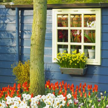 Keukenhof Gardens, Lisse, Netherlands