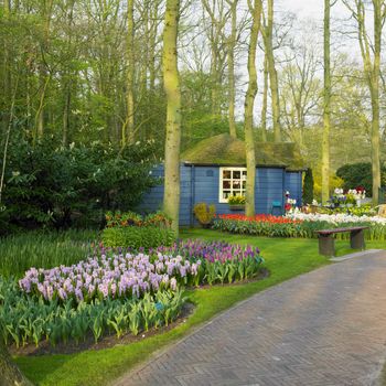 Keukenhof Gardens, Lisse, Netherlands