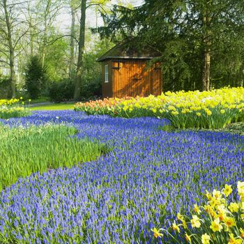 Keukenhof Gardens, Lisse, Netherlands