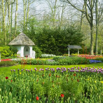 Keukenhof Gardens, Lisse, Netherlands