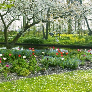 Keukenhof Gardens, Lisse, Netherlands