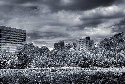 Dramatic cityscape of garden and clouds in Taipei.