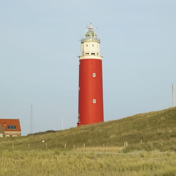 lighthouse, De Cocksdorp, Texel Island, Netherlands