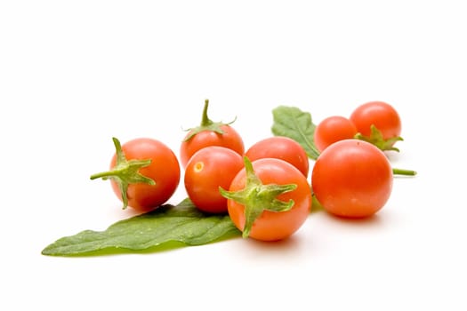 Freshly harvested tomatoes on white background