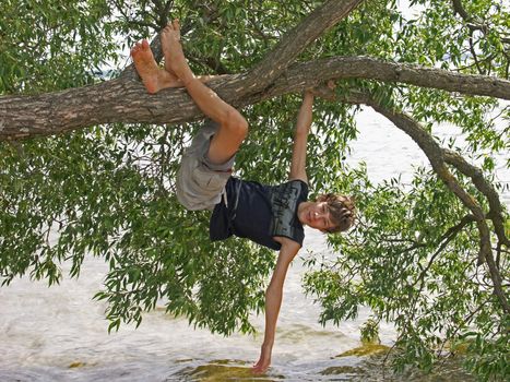 The boy swinging on a tree