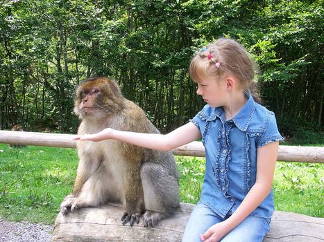 The girl feeds the monkey. The monkey looks aside.