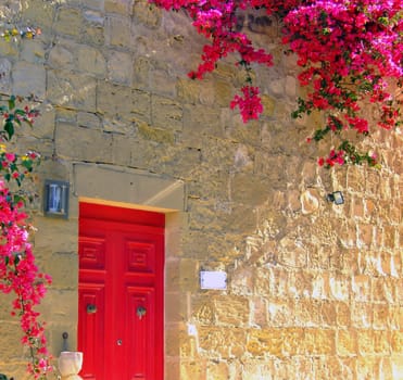 Typical limestone Mediterranean house facade with bouganvilla