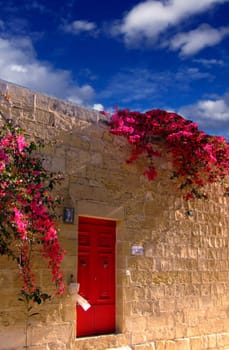 Typical limestone Mediterranean house facade with bouganvilla