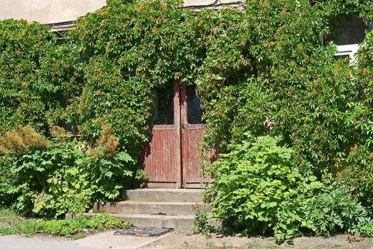 Old door in an abandoned brick building