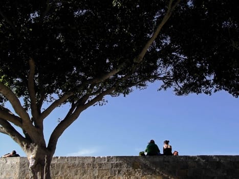 People sitting at the edge of the bastion walls in the city of Mdina in Malta...enjoying the shade provided by these trees