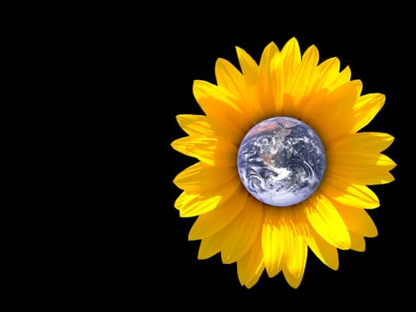 The Earth depicted as a delicate flower we need to take care of