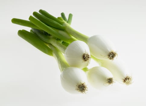 spring onions